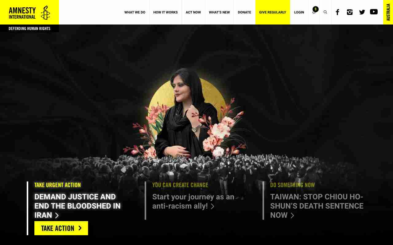 Screenshot of Defending Human Rights website.