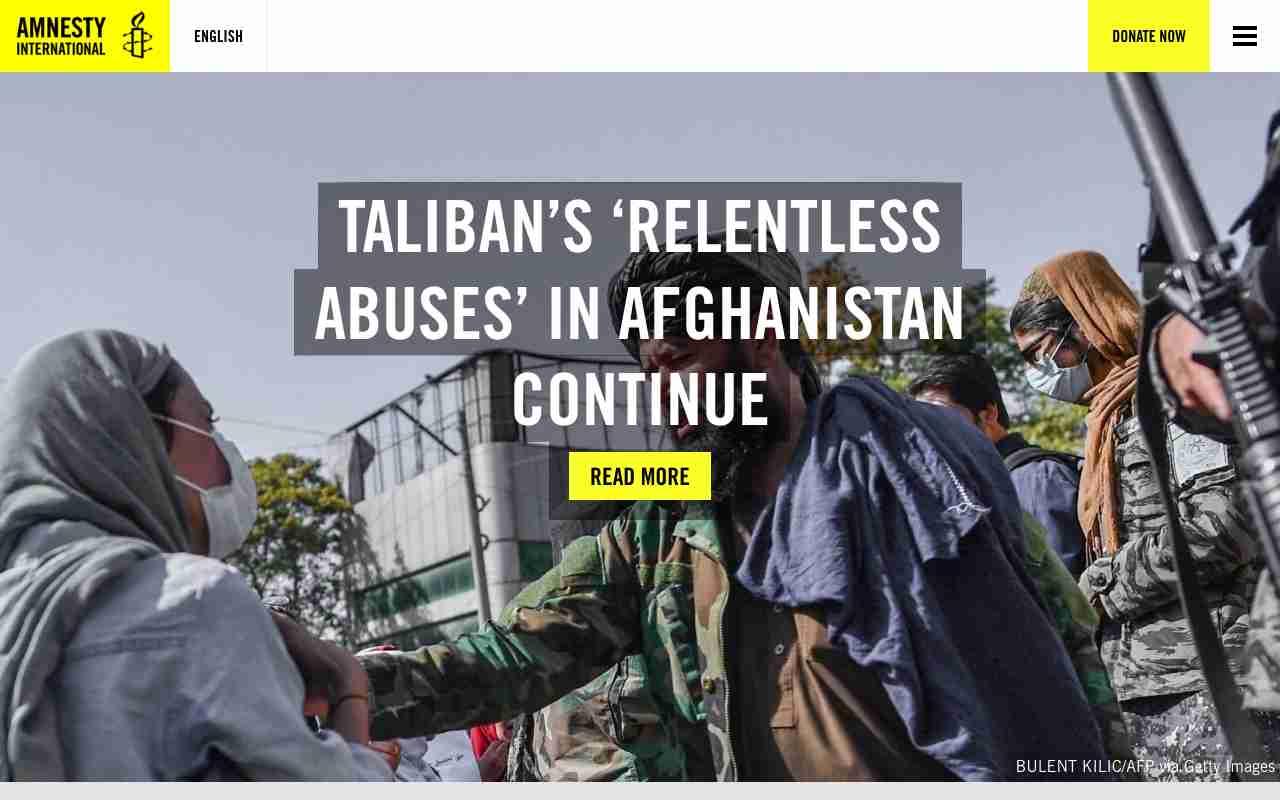 Screenshot of Amnesty International website.