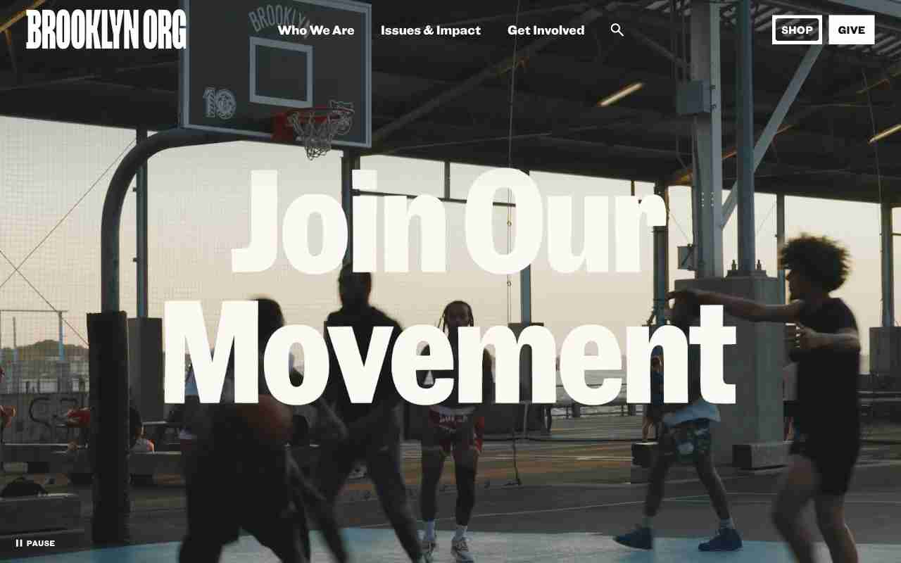 Screenshot of Brooklyn Org website.