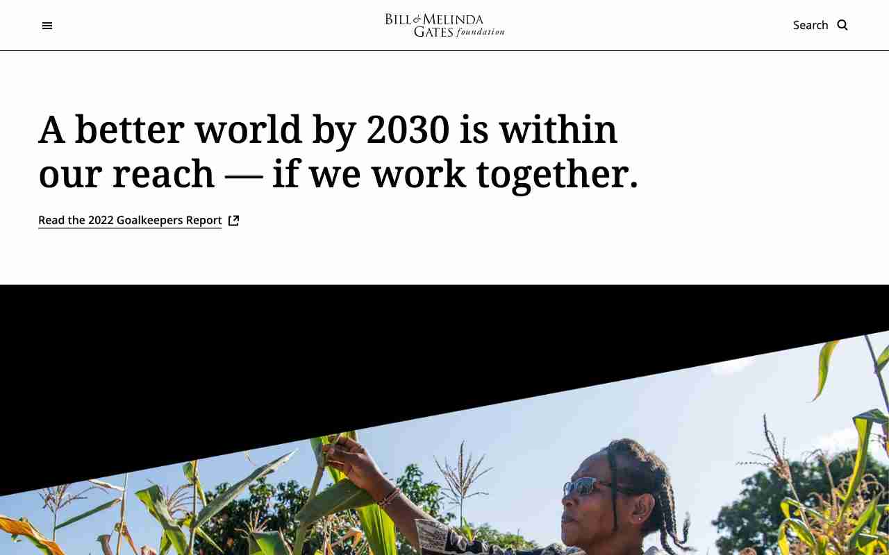 Screenshot of Bill & Melinda Gates Foundation website.