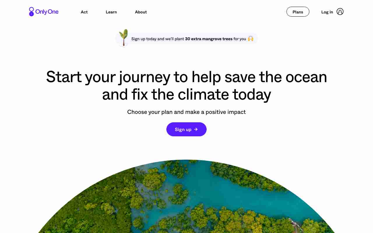 Screenshot of Only One website.