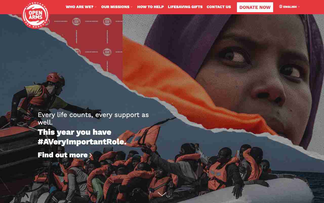 Screenshot of Open Arms website.