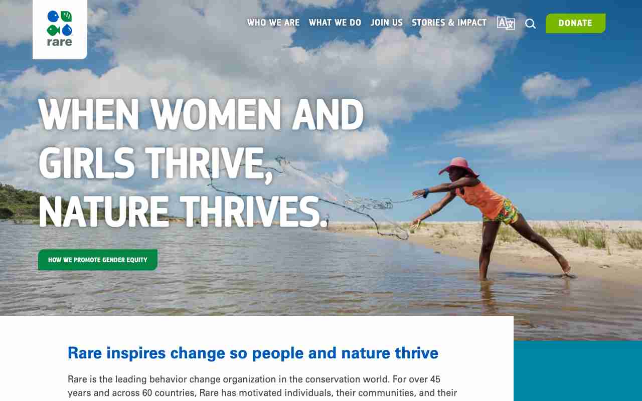 Screenshot of Rare website.