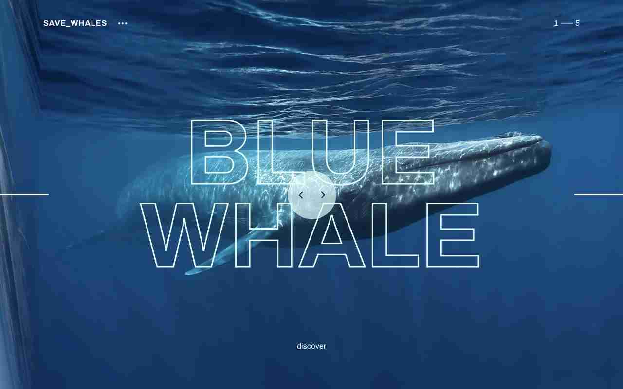 Screenshot of Save whales website.