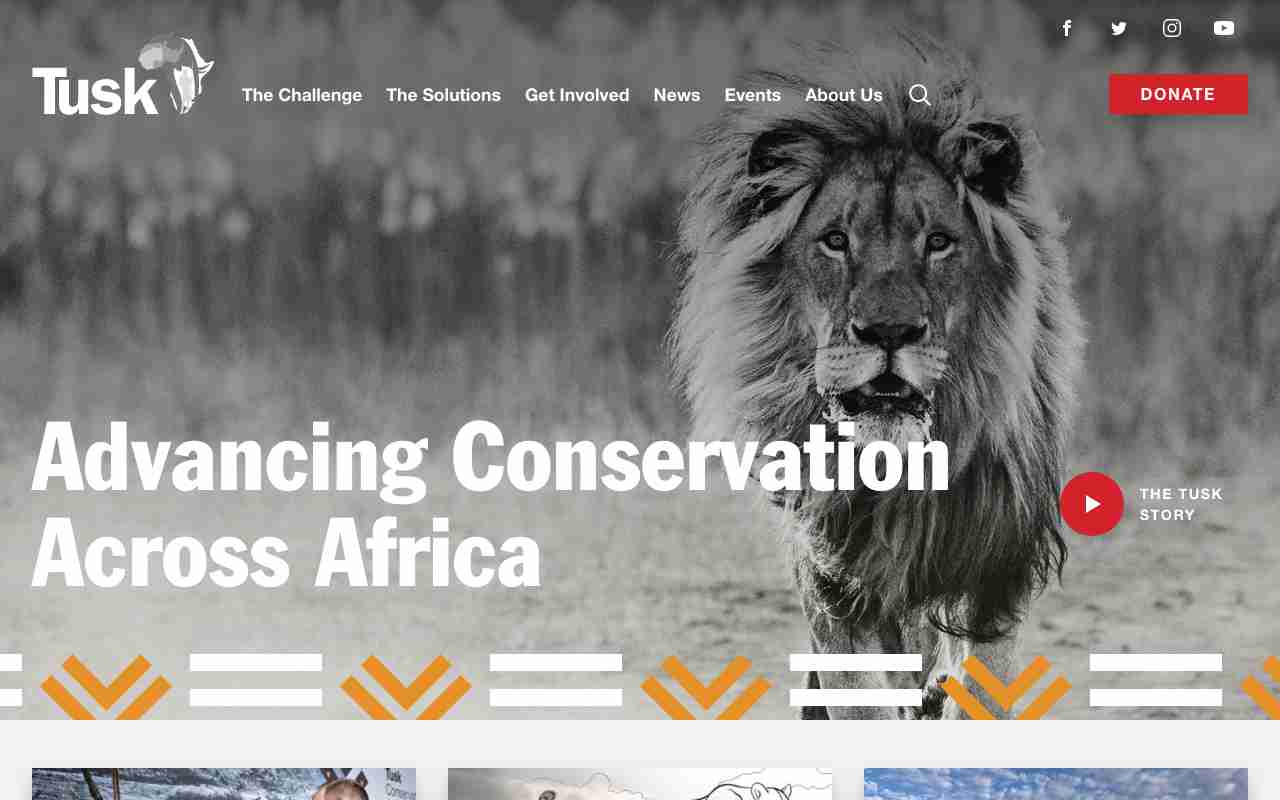 Screenshot of Tusk website.